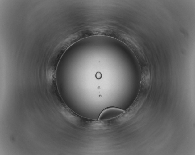 X0000113610574200909181421