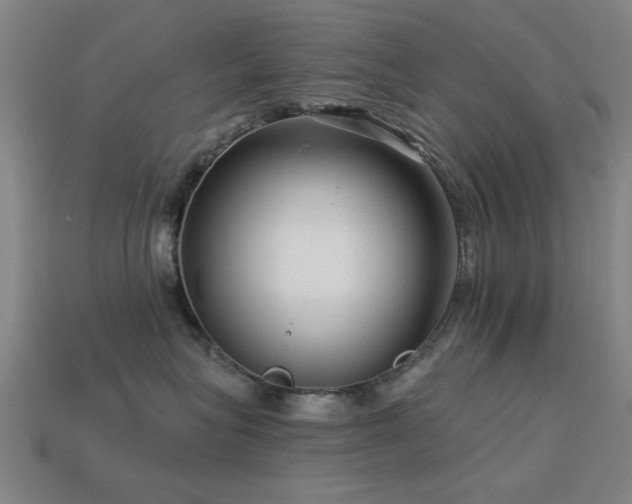 X0000113610575200909181421