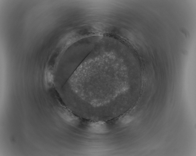 X0000113610576200909181421