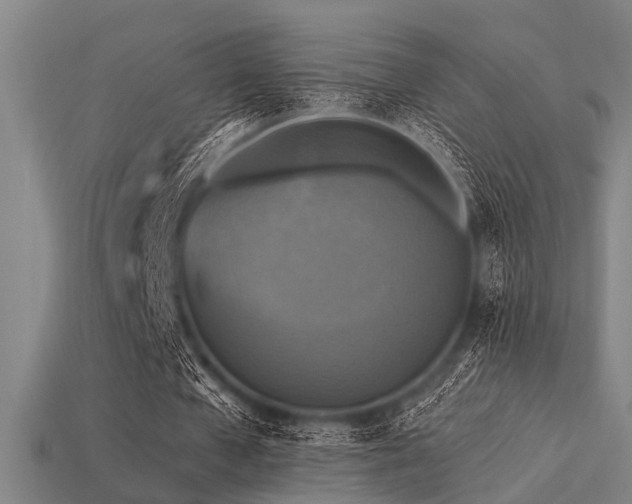 X0000113610577200909181421