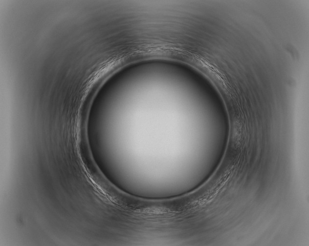 X0000113610578200909181421