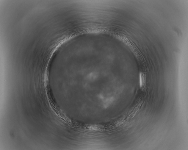 X0000113610579200909181421