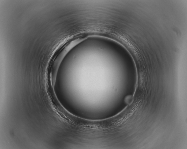 X0000113610580200909181421