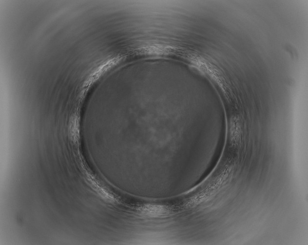 X0000113610581200909181421