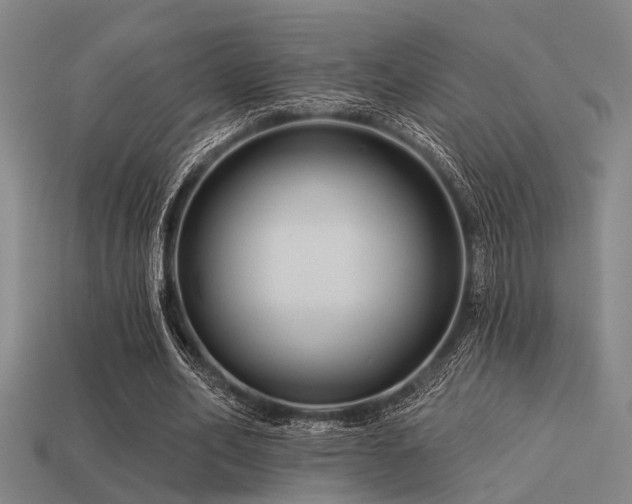 X0000113610582200909181421