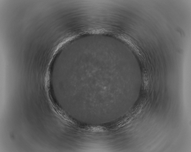 X0000113610583200909181421