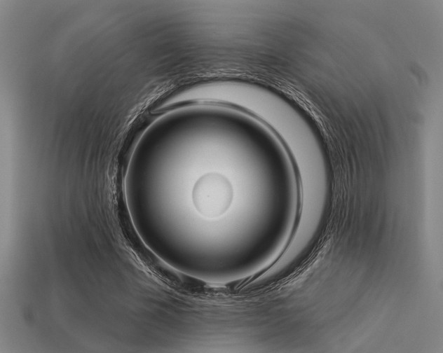 X0000113610585200909181421