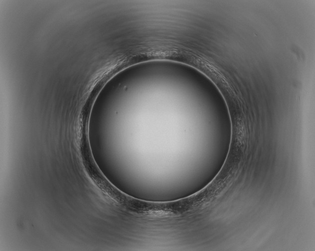 X0000113610586200909181421