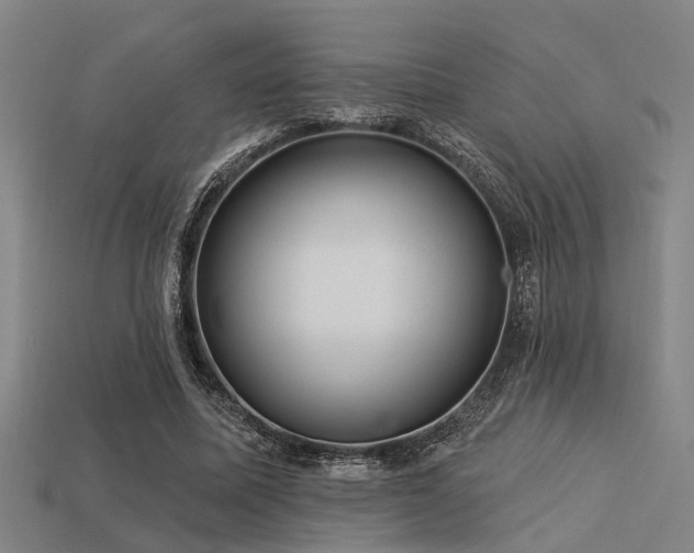 X0000113610587200909181421