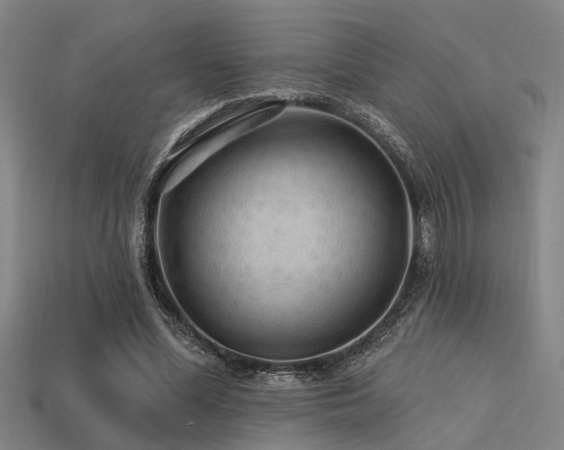 X0000113610588200909181420