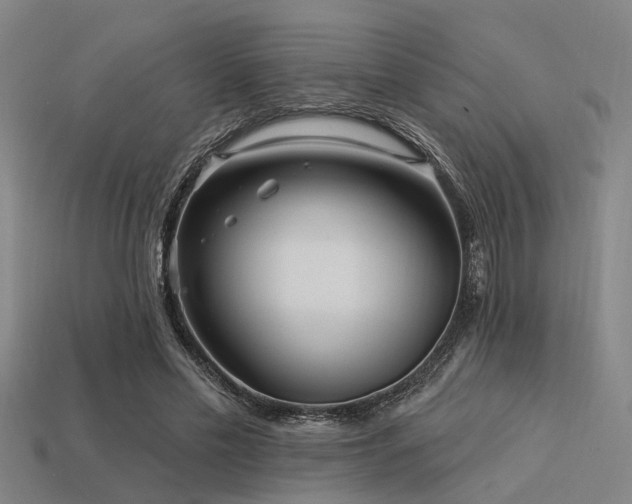 X0000113610589200909181420