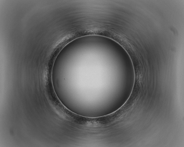 X0000113610591200909181420