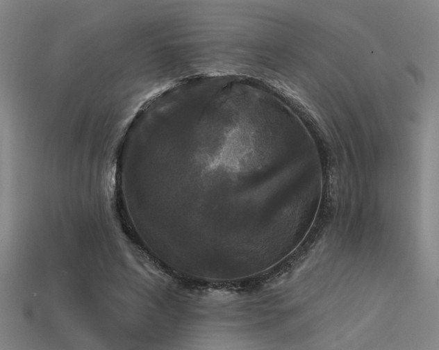 X0000113610592200909181420