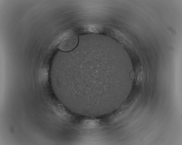 X0000113610595200909181420