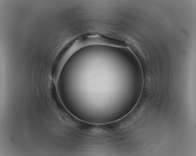 X0000113610596200909181420