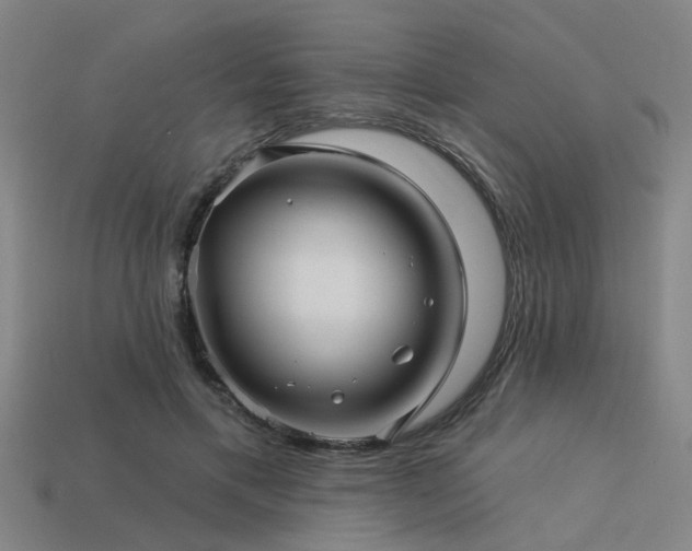 X0000113610597200909181420