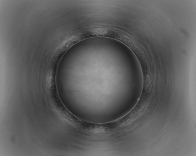 X0000113610600200909181420