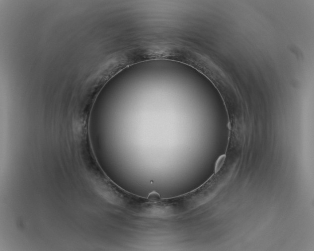 X0000113610601200909181420