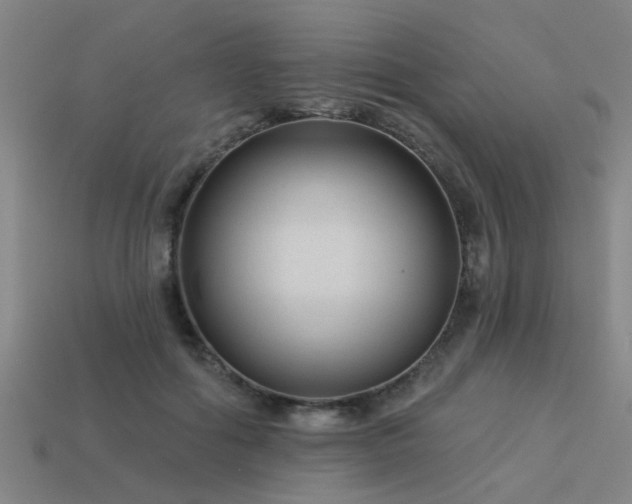 X0000113610602200909181420