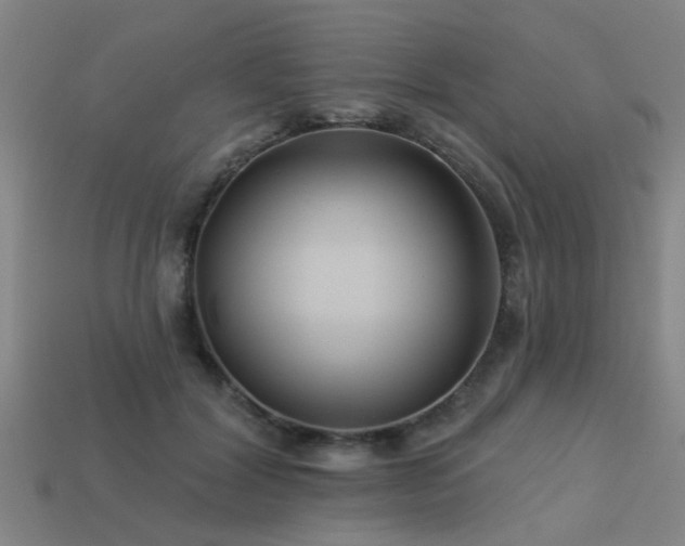 X0000113610604200909181420