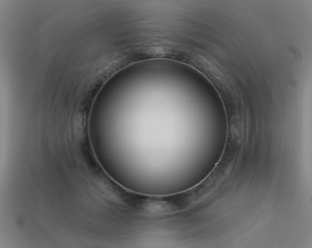 X0000113610605200909181420