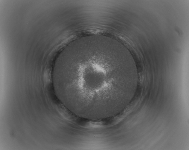 X0000113610606200909181420