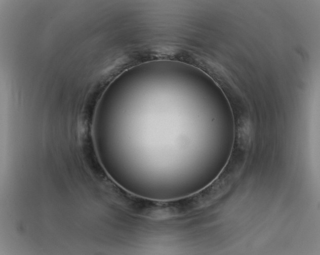 X0000113610608200909181420