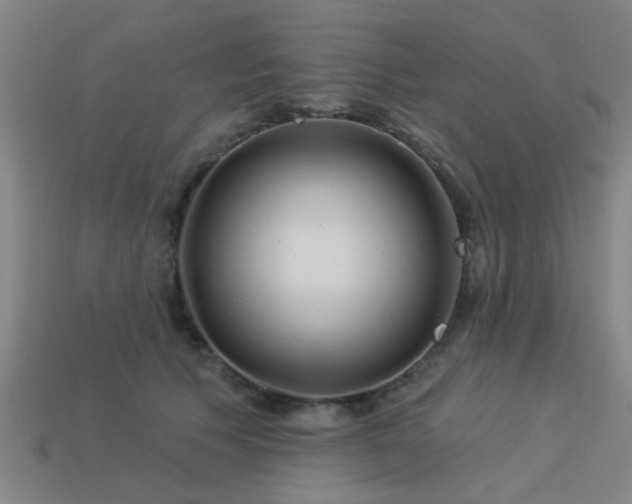 X0000113610609200909181420