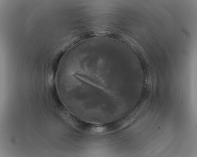 X0000113610610200909181420