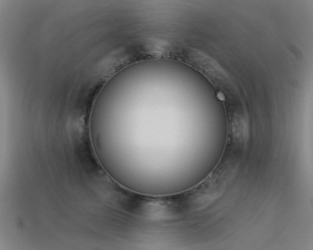 X0000113610611200909181420