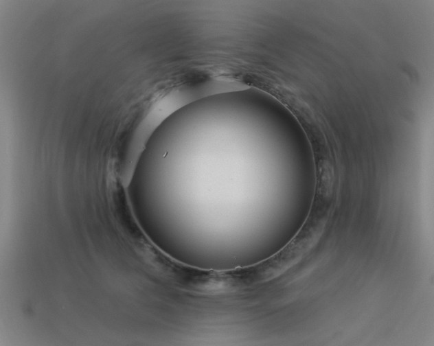 X0000113610612200909181420