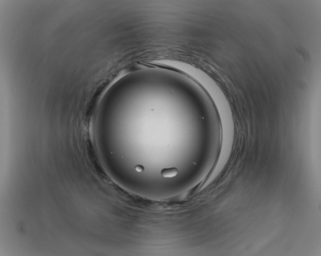 X0000113610613200909181420