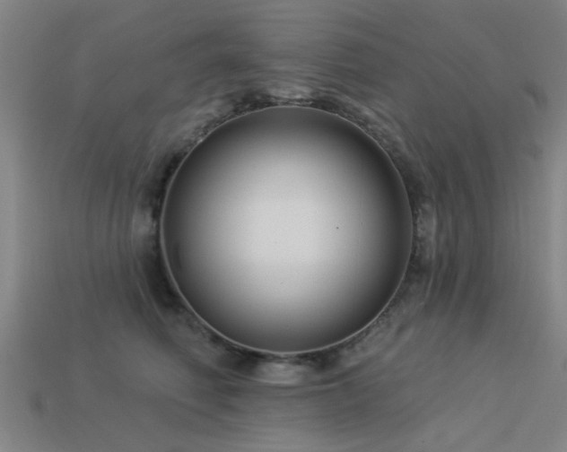 X0000113610614200909181420