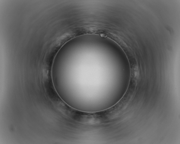 X0000113610615200909181420