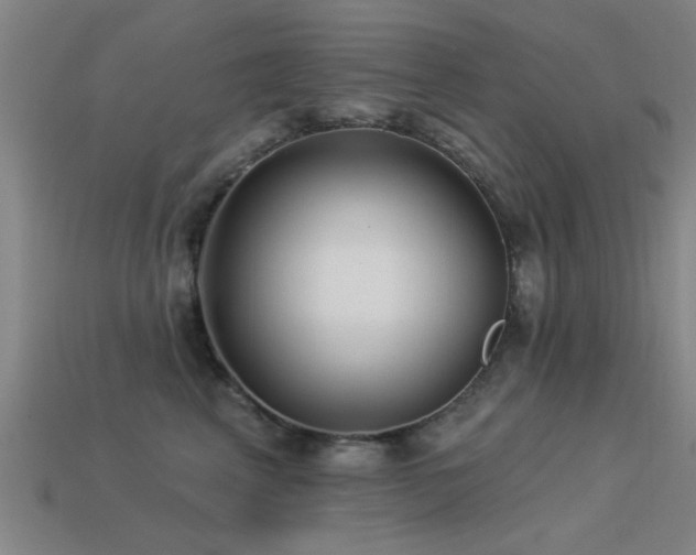 X0000113610617200909181420