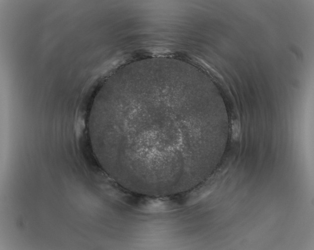 X0000113610618200909181420