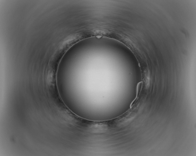 X0000113610619200909181420