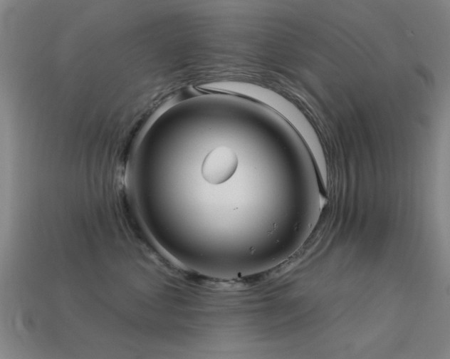 X0000113610621200909181420