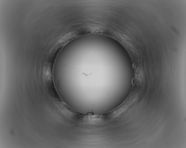 X0000113610622200909181420