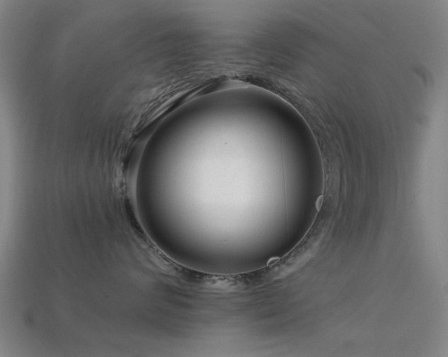 X0000113610624200909181420