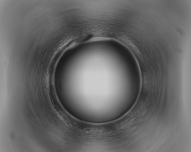 X0000113610626200909181419