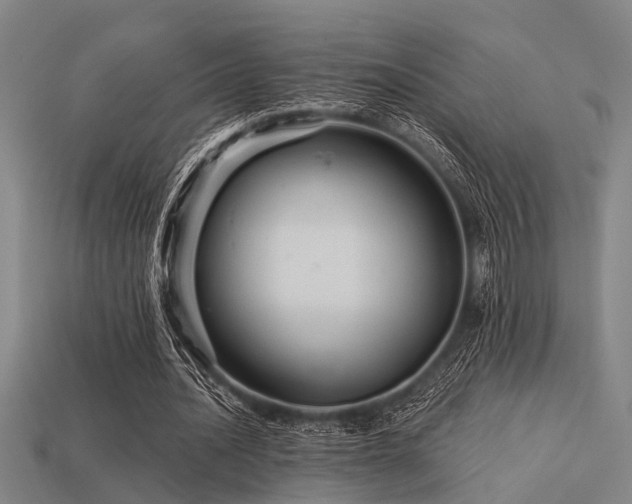 X0000113610628200909181419