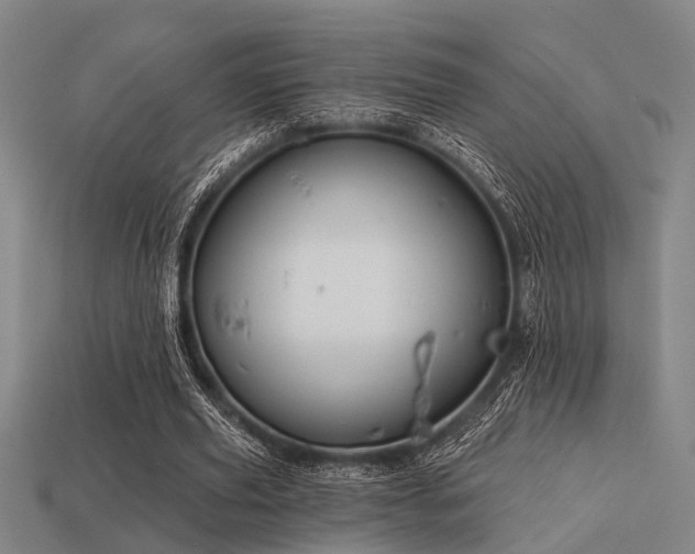 X0000113610629200909181419