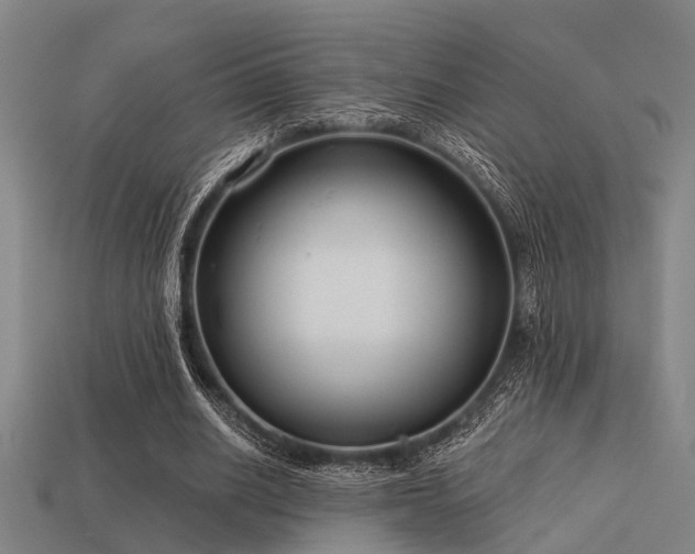 X0000113610630200909181419