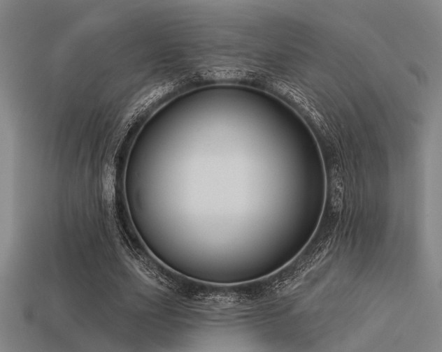 X0000113610631200909181419