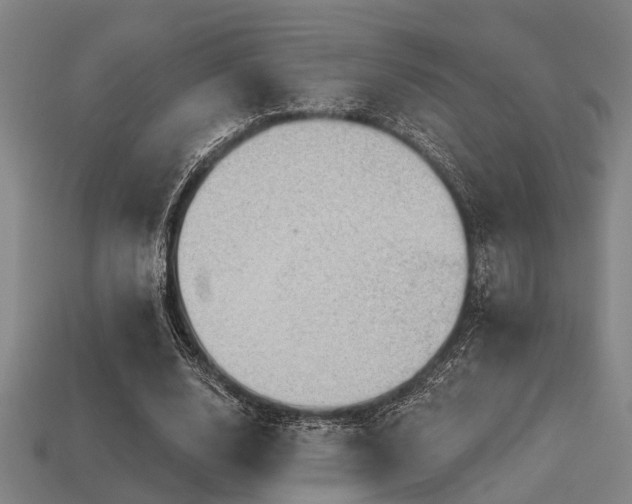 X0000113610632200909181419