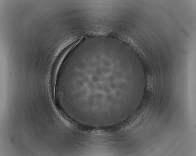 X0000113610634200909181420