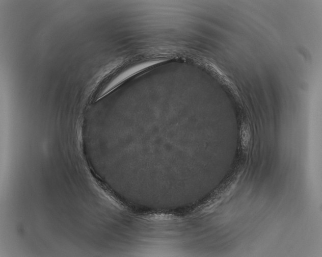 X0000113610637200909181420