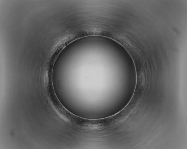 X0000113610638200909181420