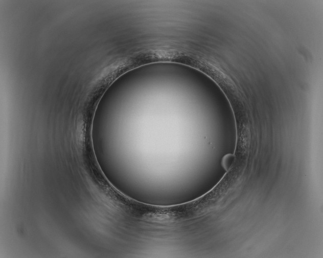 X0000113610639200909181420